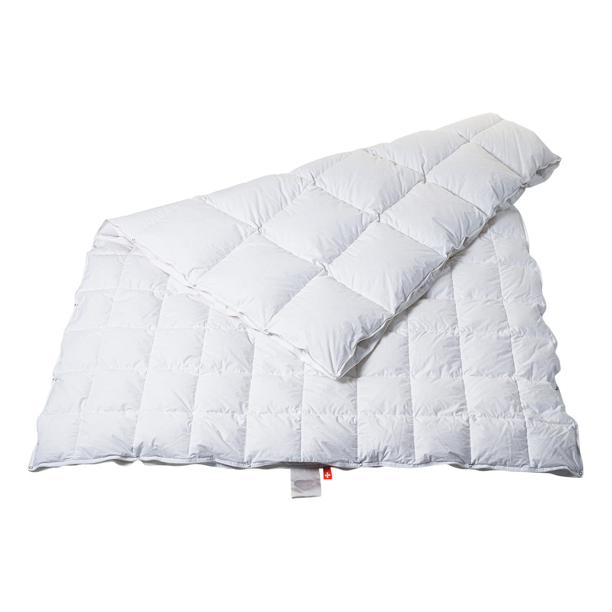 Daunen Duvet 4-Seasons Goose Premium