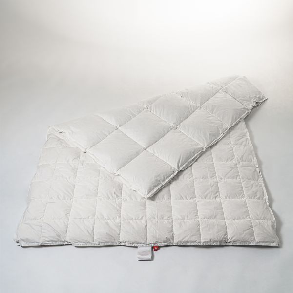 Duvet 4-Seasons Goose Standard 200 x 200