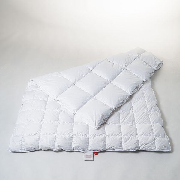 Duvet 4-Seasons Goose Top 150 x 210